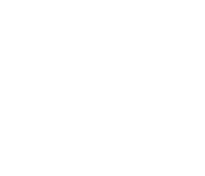 Valcourt Group
